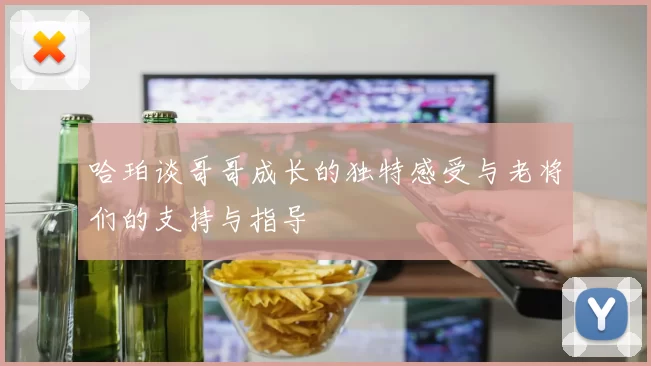 哈珀谈哥哥成长的独特感受与老将们的支持与指导